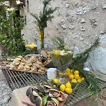 Farma Il Borgo Delle Pampare *