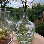 Il Borgo Delle Pampare Farma *