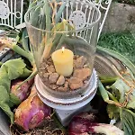 Farma Il Borgo Delle Pampare