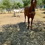 Il Borgo Delle Pampare * Campello sul Clitunno