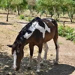 Farma Il Borgo Delle Pampare *