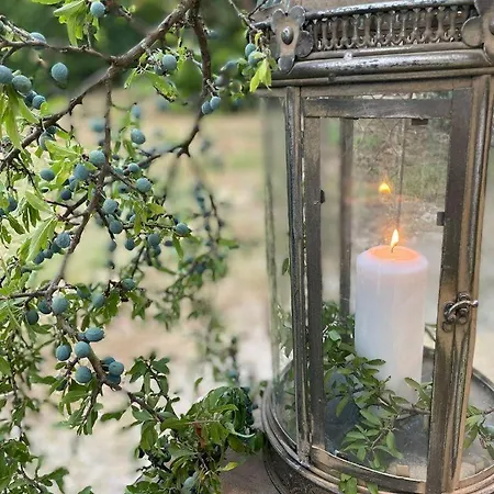 Il Borgo Delle Pampare