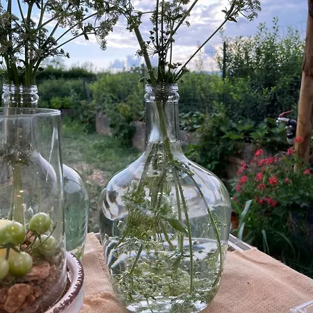 Il Borgo Delle Pampare Farmház *