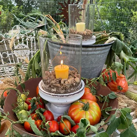 Il Borgo Delle Pampare Farmház *