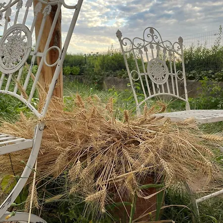 Il Borgo Delle Pampare Farmház