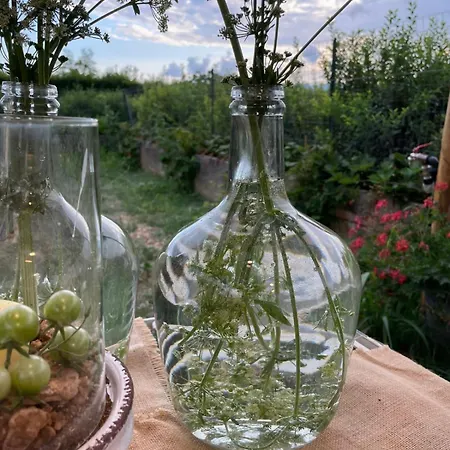 Il Borgo Delle Pampare Farm stay *