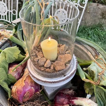 Farmház Il Borgo Delle Pampare