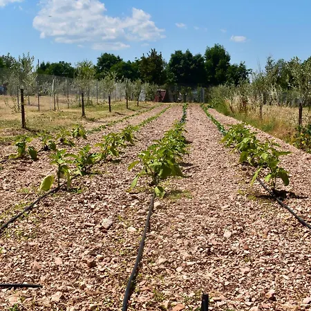 Il Borgo Delle Pampare * Campello sul Clitunno