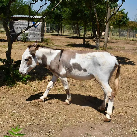 Il Borgo Delle Pampare *