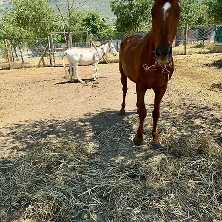 Il Borgo Delle Pampare * Campello sul Clitunno
