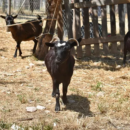 Farmház Il Borgo Delle Pampare *