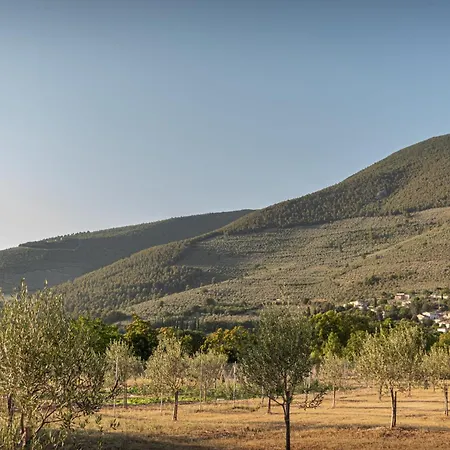 Farma Il Borgo Delle Pampare