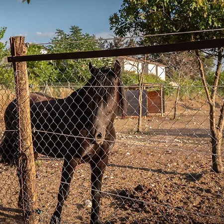 Il Borgo Delle Pampare Farma Campello sul Clitunno