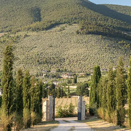 Il Borgo Delle Pampare Farma