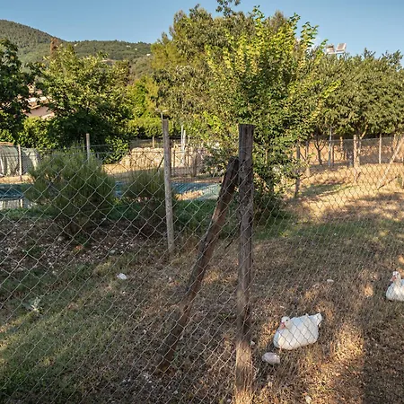 Il Borgo Delle Pampare Campello sul Clitunno