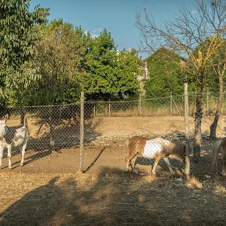 Il Borgo Delle Pampare Farma *